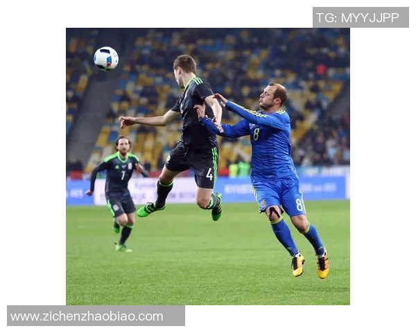 塞尔维亚与威尔士精彩对决全场录像回放及精彩瞬间分析